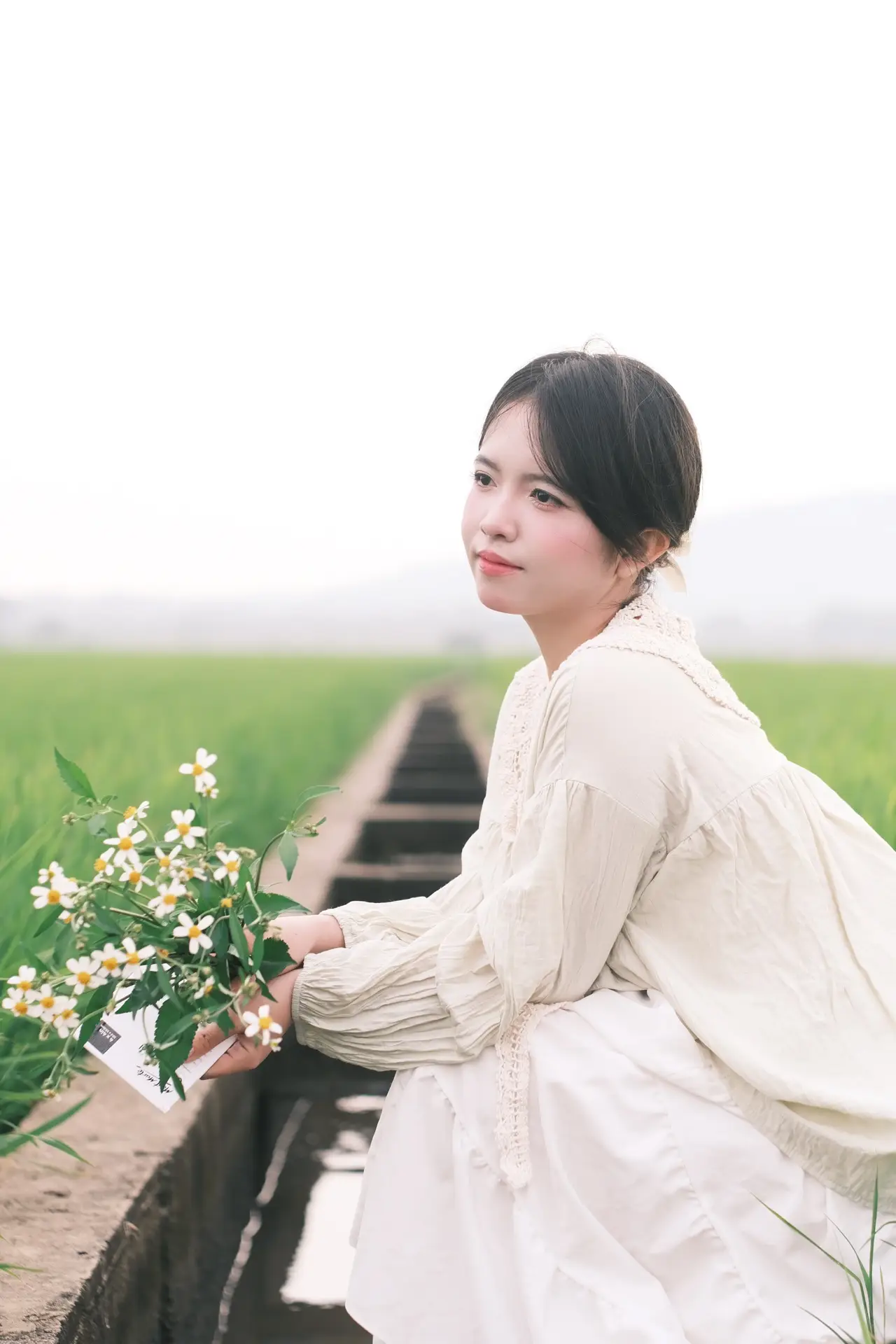 Concept “Quiet Fields” – Những Cánh Đồng Bình Yên 🌿 - Ảnh 3