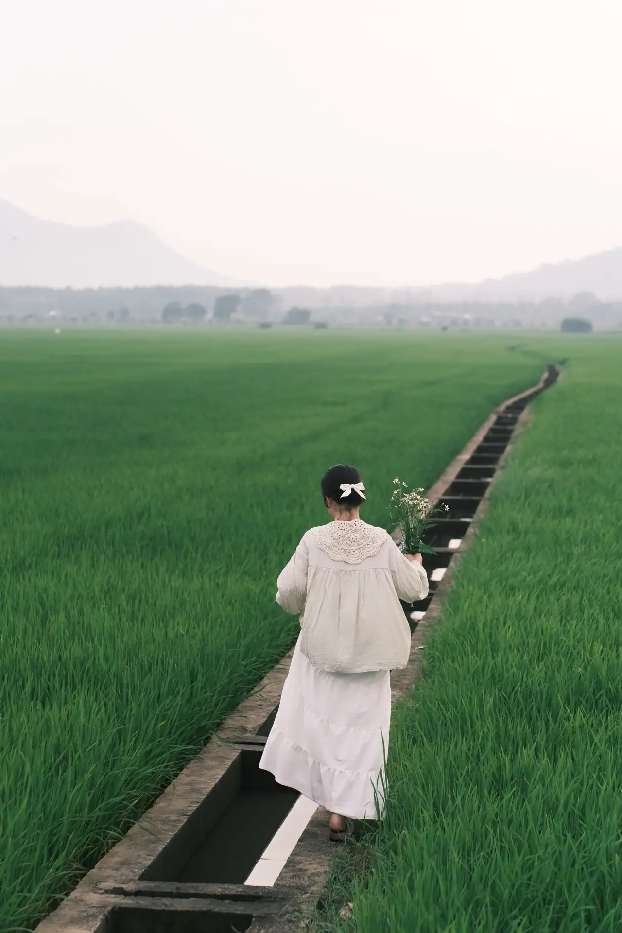Concept “Quiet Fields” – Những Cánh Đồng Bình Yên 🌿 - Ảnh 2