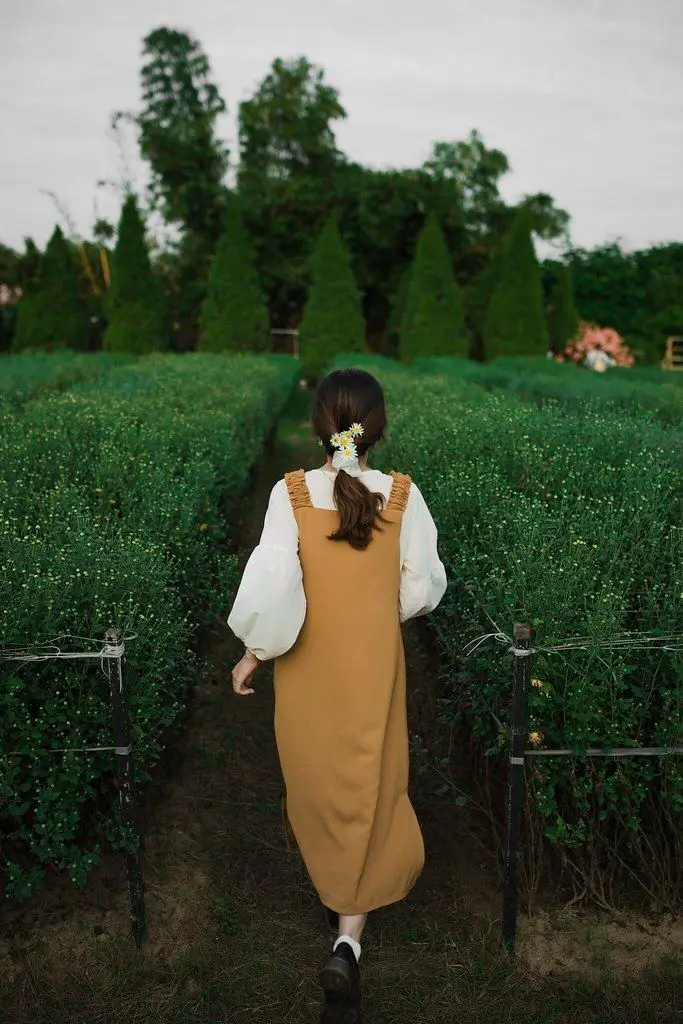 Concept “Golden Meadow” – Vẻ Dịu Dàng Tỏa Sáng Giữa Cánh Đồng Nắng Vàng 🌾 - Ảnh 3